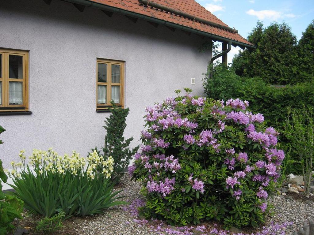 Ferienwohnung Spitzner Stornstein Exteriör bild